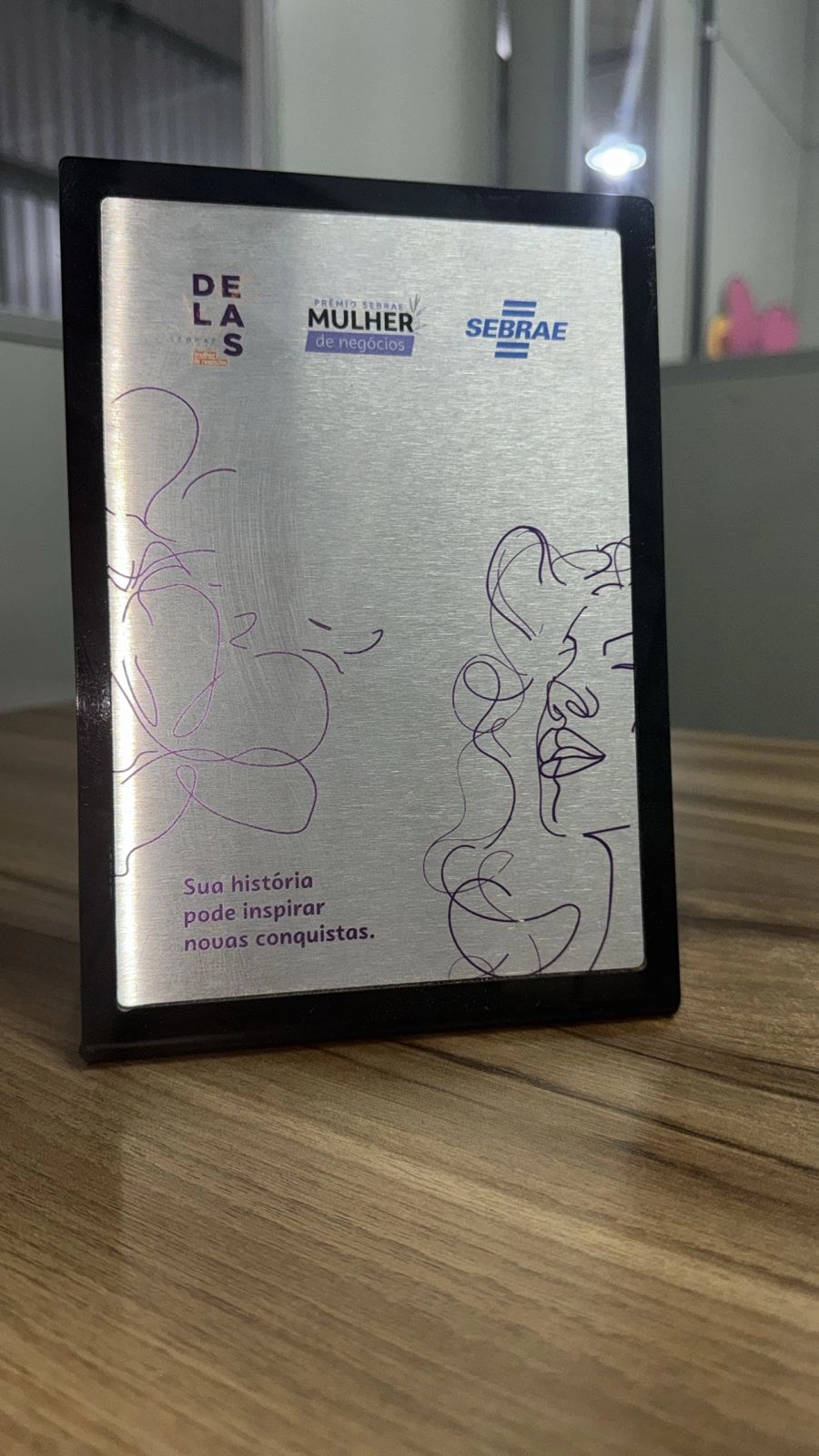 displays-personalizados-em-caldas-novas- (4)